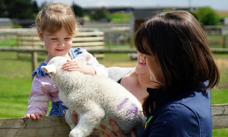 Matlock Farm Park's attractions for the Easter holiday, from March 28 until April 12, include a sheep maternity ward and nursery, Easter treasure trail, sheep and ferret racing, small animal petting, meet the reptiles. Special events lined up for the Easter weekend are Jurassic Fun Day with Bluey the Raptor on Good Friday, April 3, The Big Bubbleman on Easter Sunday, April 5 and K-Pop Superfan Day on Easter Monday, April 6.
