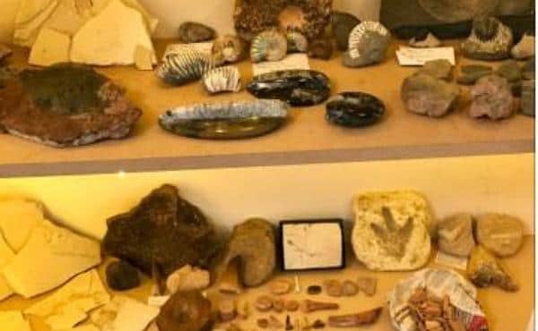 A large quantity of items  was stolen from a property in Hardwick Square West including dinosaur bones and other fossils.