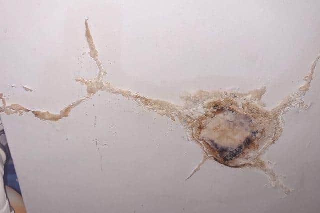 Mould and plaster are falling off the walls in Tammi's home.