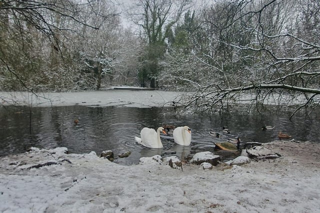 Campsall Country Park. Taken by Nick Vuckovic.