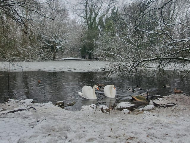 Campsall Country Park. Taken by Nick Vuckovic.