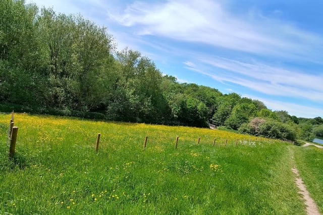 A dazzling green field, filled with flowers and greenery, this is the quintessetial picnic spot in Derbyshire. Plus, the parking is completely free!
