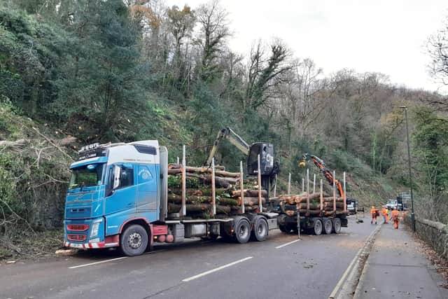 A6 reopens as landowners urged to assess tree risk