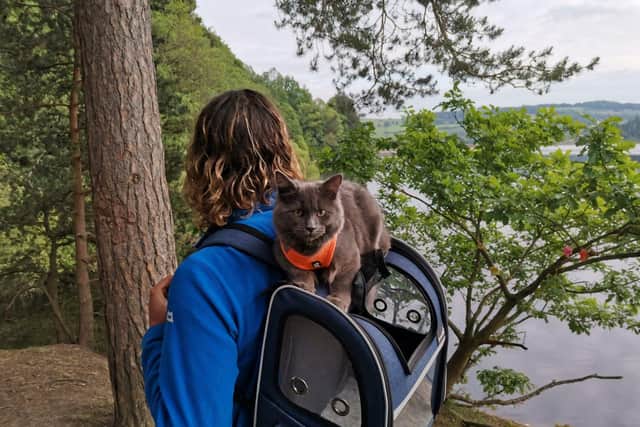 Pōhaku the cat enjoys hikes and bike rides in the Peak District