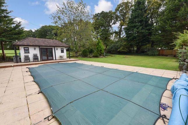 The house has a swimming pool.