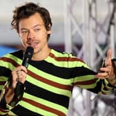 Harry Styles has reportedly been spotted in Derbyshire with his actress girlfriend Olivia Wilde (Photo by Dia Dipasupil/Getty Images)
