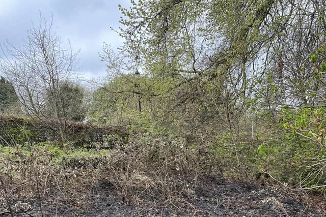 Scorched areas show damage caused  by alleged arsonists in Chesterfield's Tapton Park.