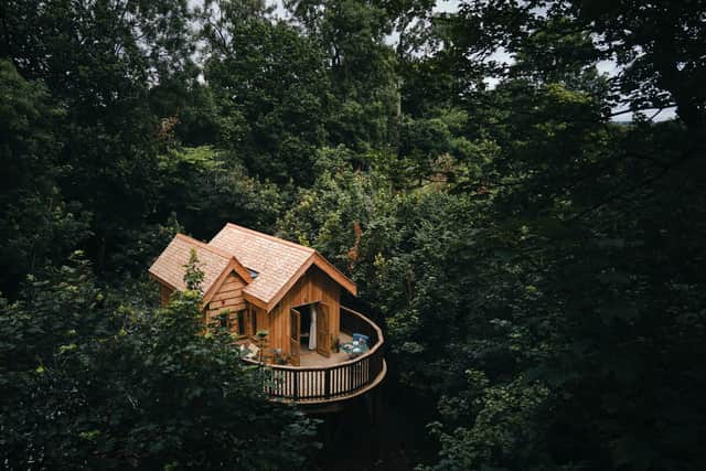 Treehouse at Wildhive, Callow Hall.