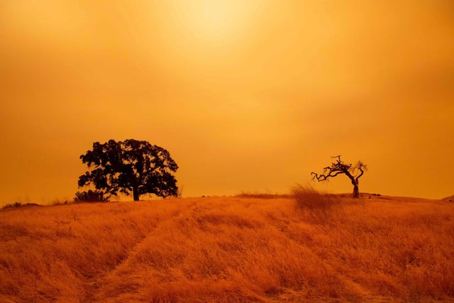 An orange sky filled with wildfire smoke hangs above hiking trails at the Limeridge Open Space in Concord.