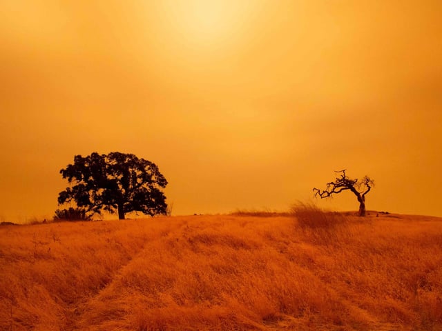 An orange sky filled with wildfire smoke hangs above hiking trails at the Limeridge Open Space in Concord.