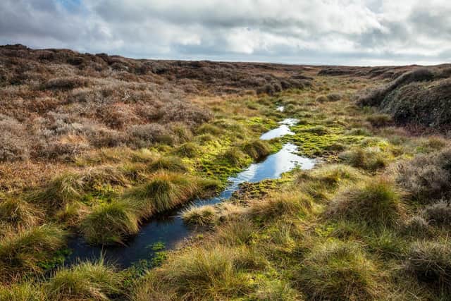 The Peak District peatlands are a critical component in Britain's response to climate breakdown.