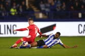 Sheffield Wednesday's Michael Ihiekwe is on the comeback trail after suffering ligament damage to his knee back in November. 