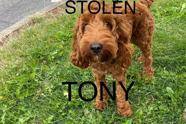 Tony was due to be adopted by Sue Rogers on August 7