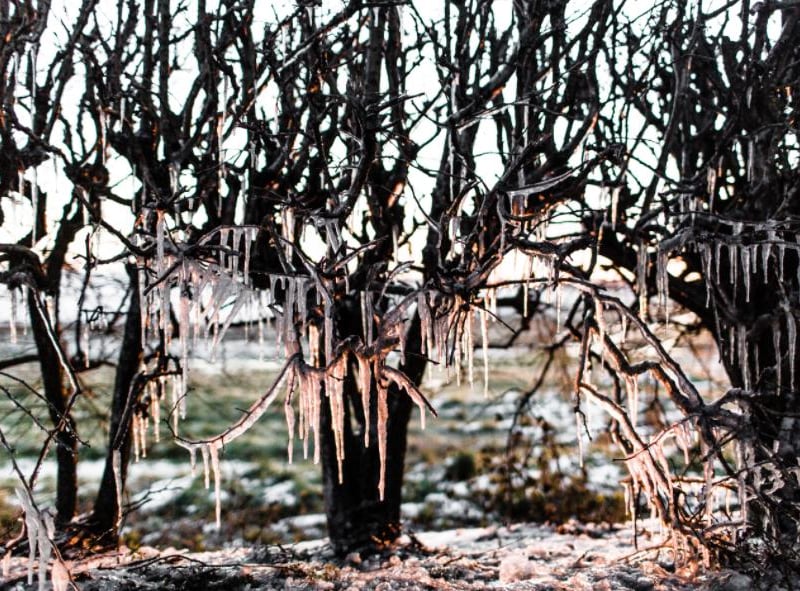 The icicles continue far down Scawsby Road.