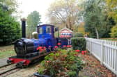 Puffin Billy, the miniature train at Queen's Park, is 50 years old and will celebrate the milestone on August 19 and 20.