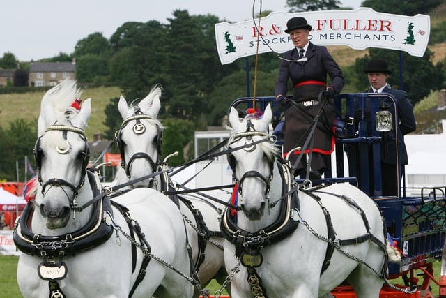 Action from the horse and carriage section at Bakewell Agricultural Show in 2007.
