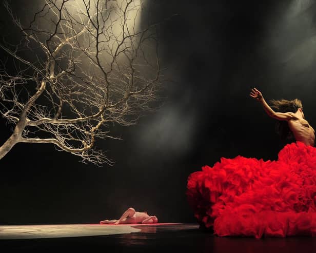 Vortice Dance Company presents Dracula at the Pomegranate Theatre on May 13, 2022.