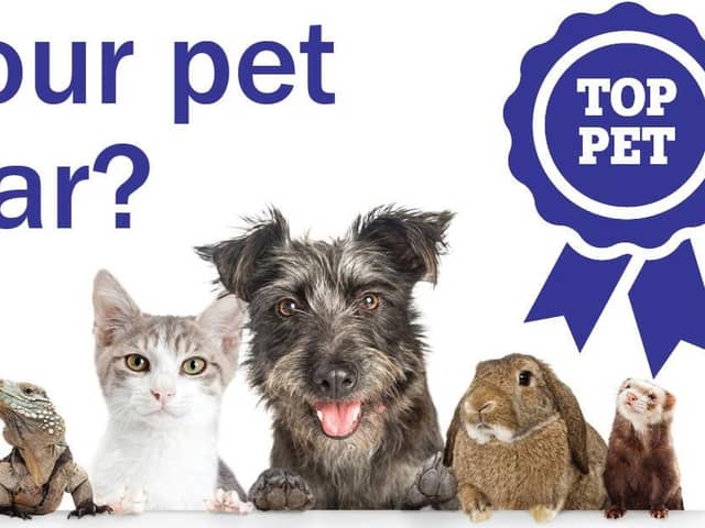 Does your pet have what it takes to scoop the Top Pet crown?