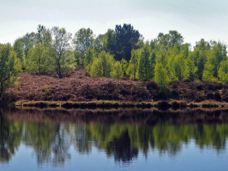 Lcoated only a short drive from Chesterfield the chimney of Stonedge Cupola is surrounded by a scenic dam.  This well-known local landmark was built about 1770 and and is the oldest industrial chimney in Britain. It is believed that the dam was built subsequent to the works.