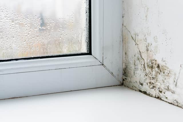 Generic photo of mould and a crack caused by damp (photo: Stock Adobe/andrei310)