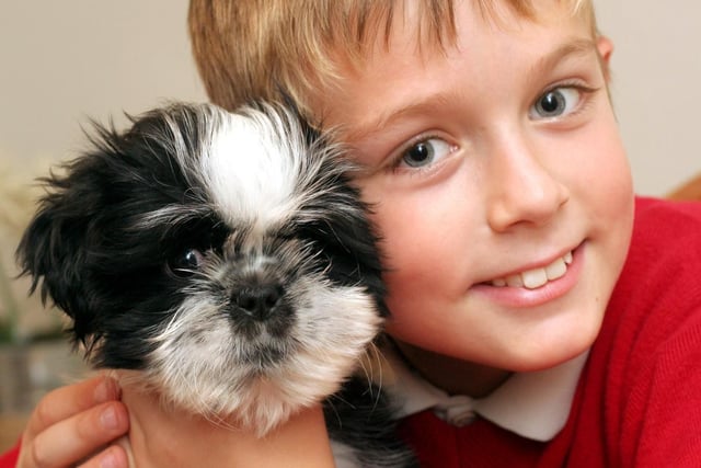 Nine-year-old Adam Froggett of Clay Cross, pictured with puppy Milo which was born with organs the wrong way round in 2006.