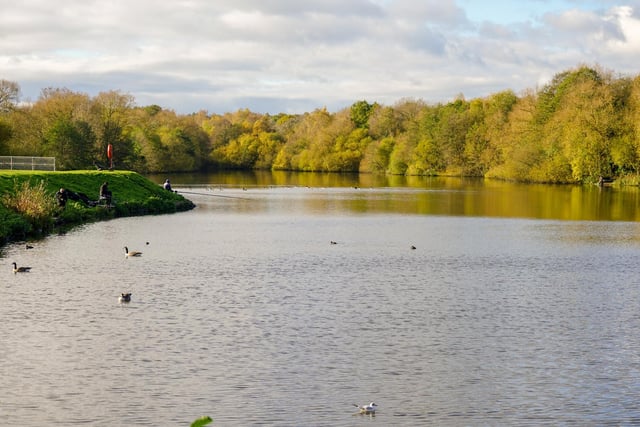 Codnor Park has been re-stocked multiple times ver the past couple of years. Now a variety of fish can be caught there, including carp, bream, roach, perch and tench.
Every Sunday and Wednesday the trust hosts a competition.
