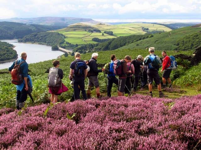 The Peak District National Park Authority is reshaping its workforce to ease financial pressures.