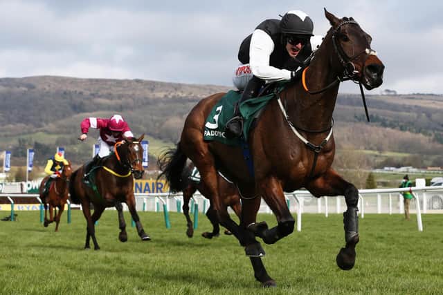 Relentless front-runner Flooring Porter, ridden by Danny Mullins, wins the Paddy Power Stayers' Hurdle at last year's Cheltenham Festival. Can he do it again on Thursday? (PHOTO BY: Michael Steele/Getty Images)