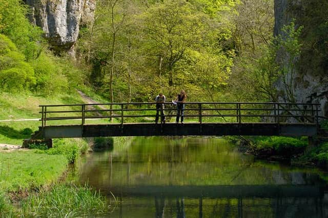 Dovedale offers a tranquil destination for visitors. Photo by Ray Manley/Peak District National Park Authority.
