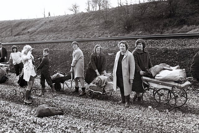 Miners wives picking coal at Clay Cross....Feb 1972, during the miners strike