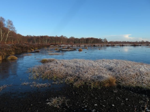 Hatfield, a former pit village located to the north-east of Doncaster, has seen a population decrease of 0.9 per cent over the last five years. The number of people living there has fallen by 155 since 2014, and now stands at 17,587. Pictured is Hatfield Moors
