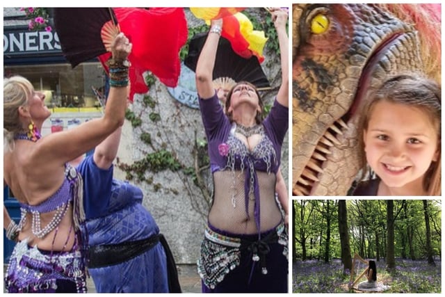 Bakewell's International Day of Dance, Matlock Farm Park's Jurassic Fun Day and Exile festival at Sabine Hay, near Darley Dale, pictured clockwise from left, are all coming up in June.