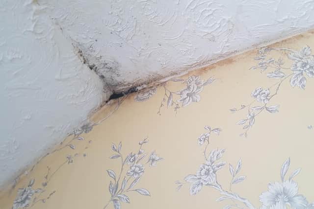 Damp patches on the ceiling.