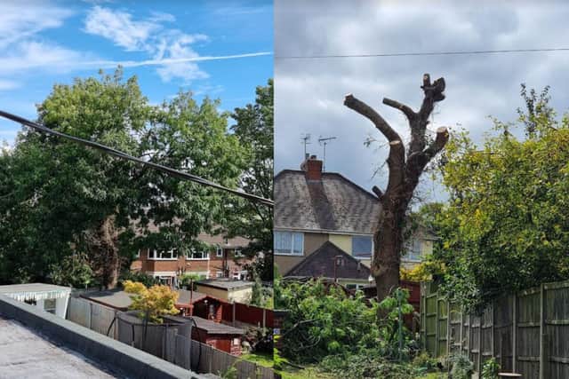 The contractors were hired by Rykneld Homes to cut down branches of a massive tree at Redfern Street, Tupton.