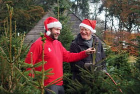 National Trust Ranger Mark Bull (left) and volunteer Chris Morgan pictured in the Christmas tree nursery at Longshaw last year. Picture: David Bocking