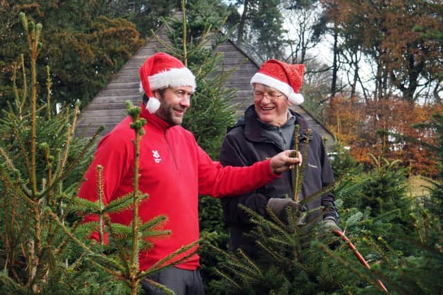 National Trust Ranger Mark Bull (left) and volunteer Chris Morgan pictured in the Christmas tree nursery at Longshaw last year. Picture: David Bocking