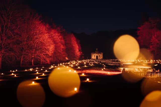 The grounds of Chatsworth House are full of pretty festive lights until January 8 (photo: India Hobson/Haarkon)