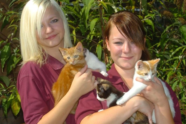 Lauren Smith and Adele Pearson, volunteers at St Bernards Animal Sanctuary in Old Whittington, with kittens looking for forever homes.