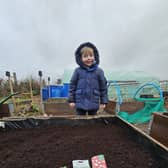 James and Oscar have been working on the allotment in-between the torrential rain and horrendous wind.