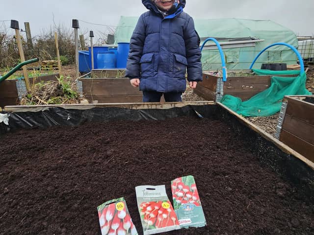 James and Oscar have been working on the allotment in-between the torrential rain and horrendous wind.
