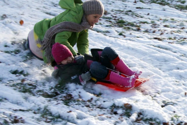 Fun in the Snow in Tapton Park