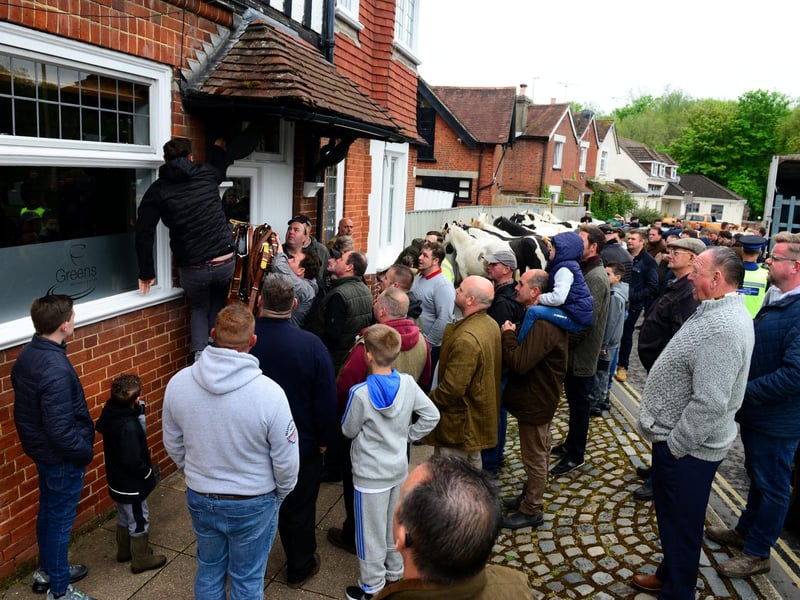 A large crowd turned up for the Wickham Horse Fair today despite it being cancelled. Picture: Roger Arbon/Solent News & Photo Agency