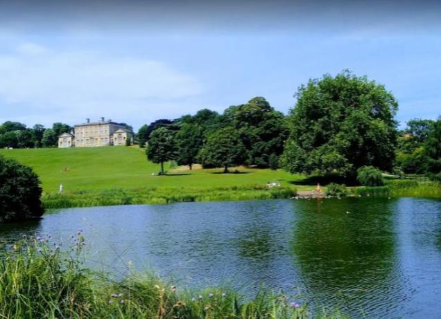 Treat the family to a day around the beautiful gardens at Custworth Hall.