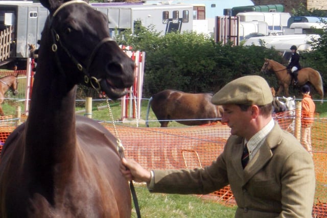 A competitor in the mountain and moorland 'horse in hand' section at Ashover Show in 2006.
