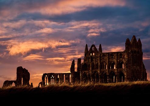 One of the finest coastal locations in Yorkshire, which is home to the seventh century gothic Whitby Abbey. Its charming cobbled streets and heritage coastline make Whitby a great location to live.