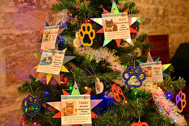 The RSPCA's Christmas tree