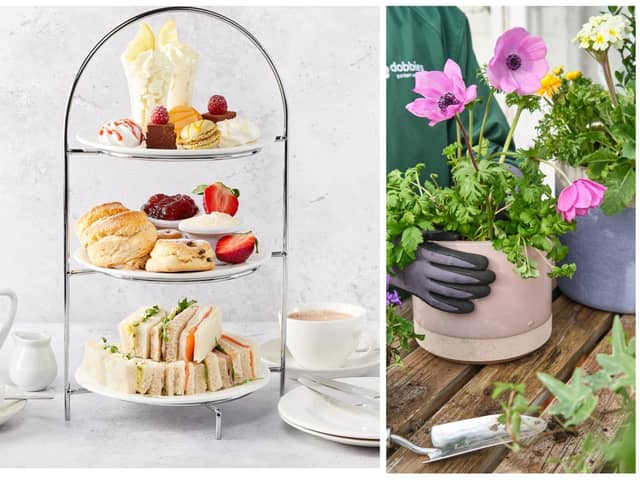 Take afternoon tea at Dobbies Chesterfield and take home a planter created by you (photo: Dobbies Garden Centres).