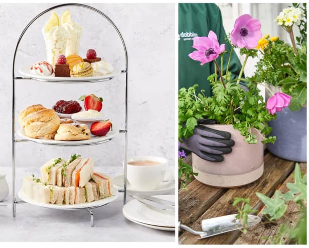 Take afternoon tea at Dobbies Chesterfield and take home a planter created by you (photo: Dobbies Garden Centres).