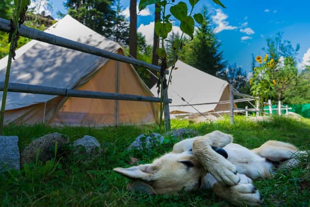 Dog-friendly campsites are within three miles of Bakewell (generic image: Pixabay)