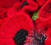 The Argos community garden in Dronfield will be adorned with thousands of knitted poppies.